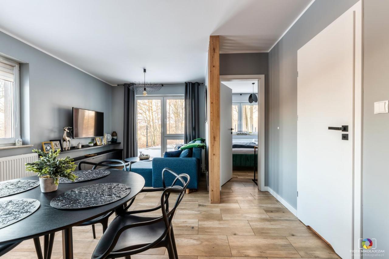 Apartament U Nas W Sudetach Szklarska Poreba Bagian luar foto